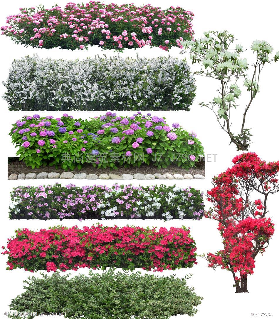 psd素材植物psd4灌木与绿篱类效果图后期配景psd文件