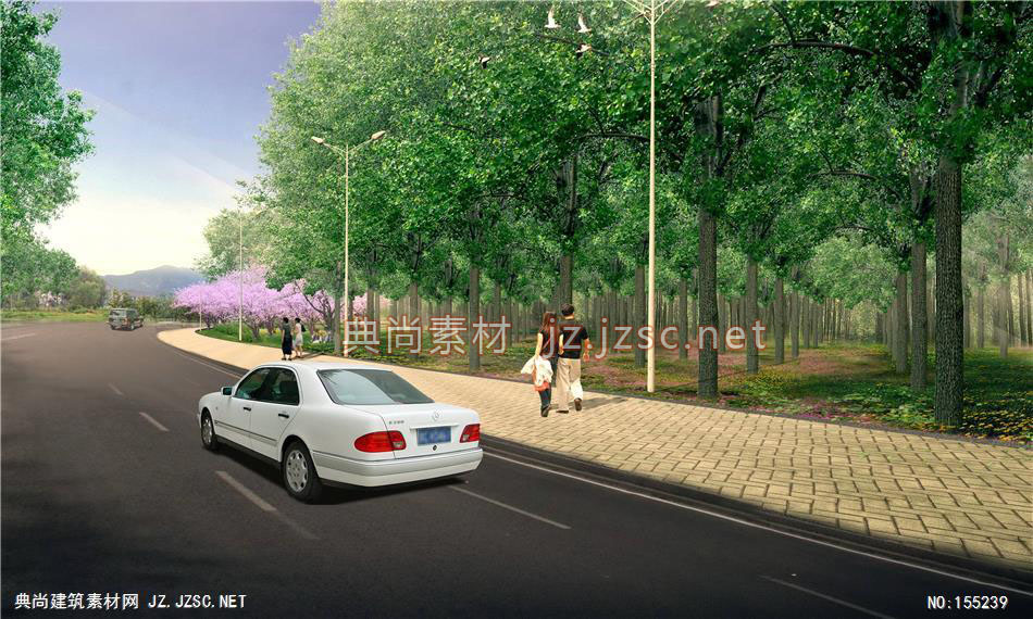道路景观psd素材 汤山路杨树林 著名道路景观设计案例