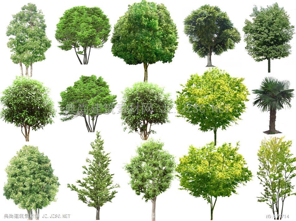 近景高清树木植物 效果图后期配景psd文件建筑设计素材网-3psd素材