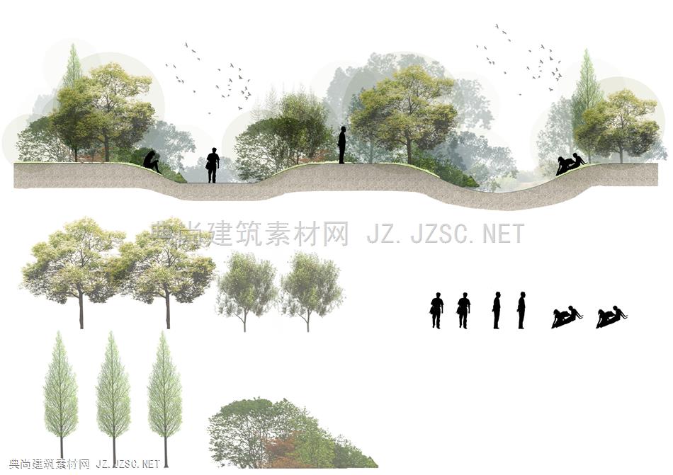 滨水湿地-剖面图
