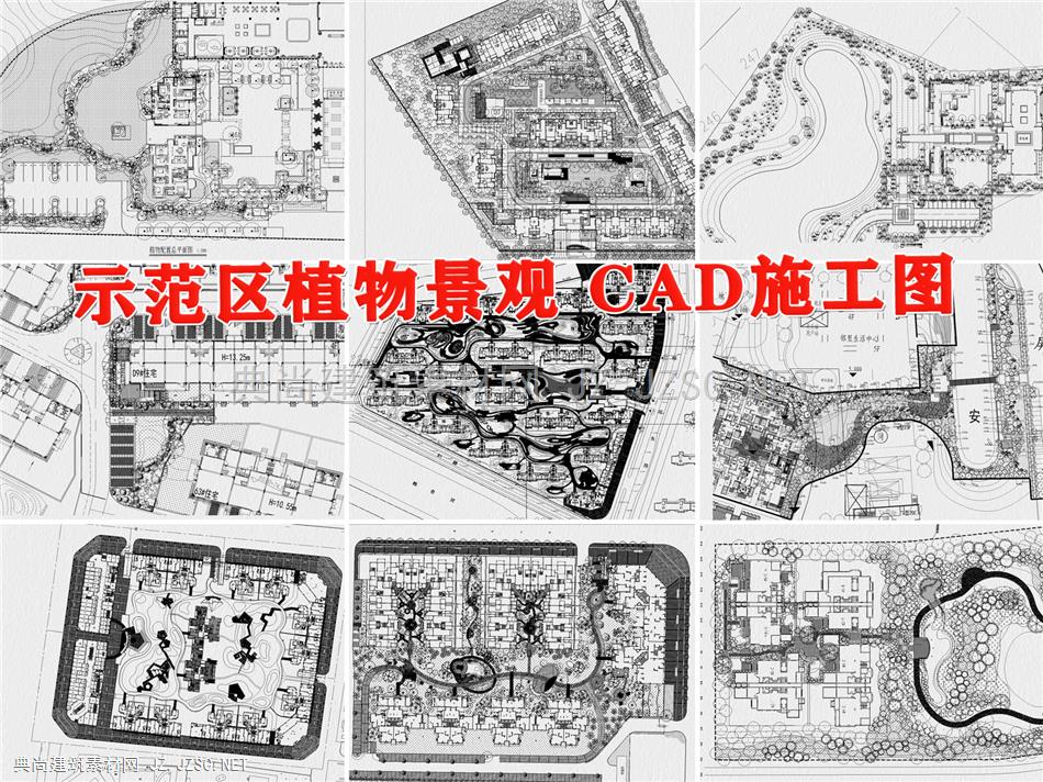 示范区植物景观CAD